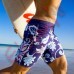 Пляжные шорты купить недорого : мужские Aussiebum (Австралия) в Сумах (Украина), для летнего отдыха на пляжах Украины, Египта, Турции, Греции - коллекция моды сезон 2014(смотреть бесплатно онлайн фото)